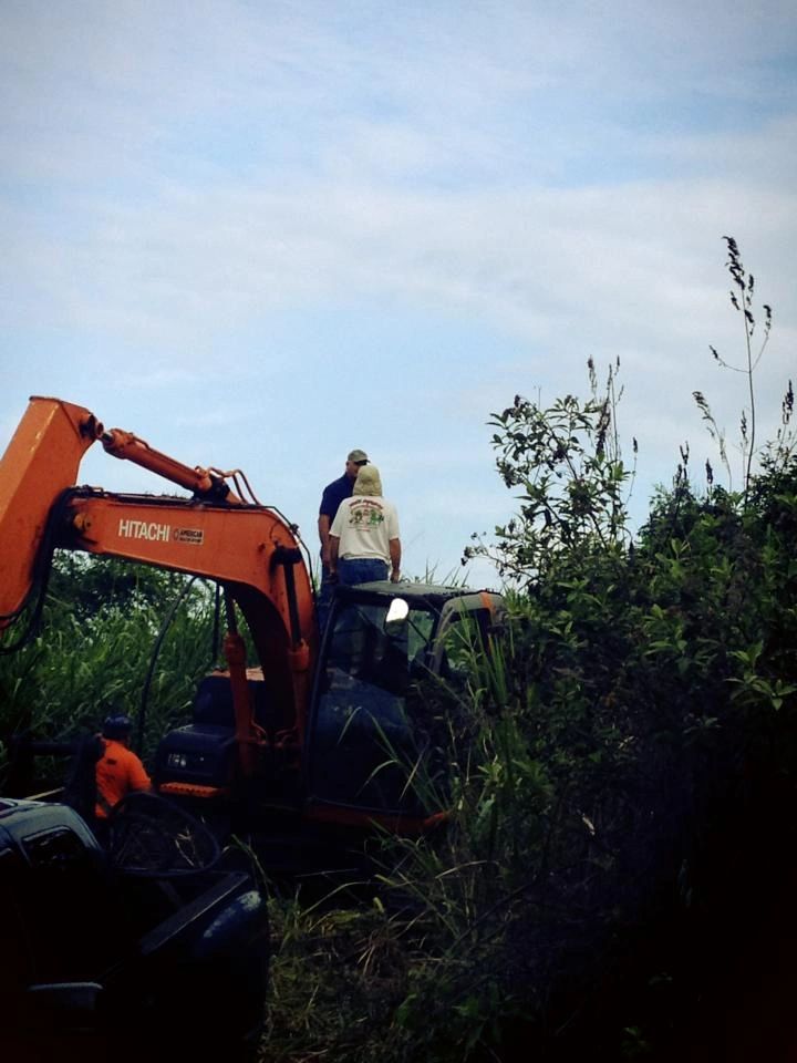 Clearing invasive growth on the South Kona site with an excavator